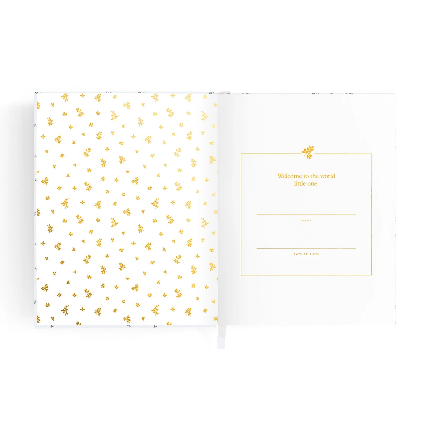 Mini Baby Book Bluebell Boxed