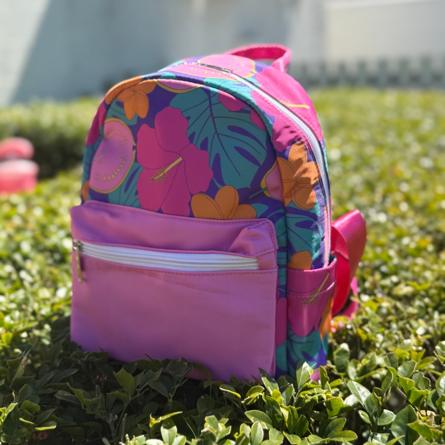 Swim Backpack