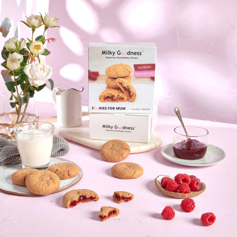 Raspberry Lactation Cookies (Dairy & Soy Free)