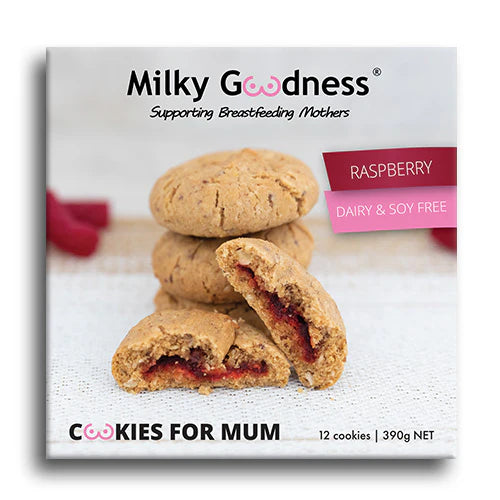 Raspberry Lactation Cookies (Dairy & Soy Free)