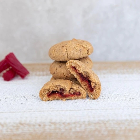 Raspberry Lactation Cookies (Dairy & Soy Free)