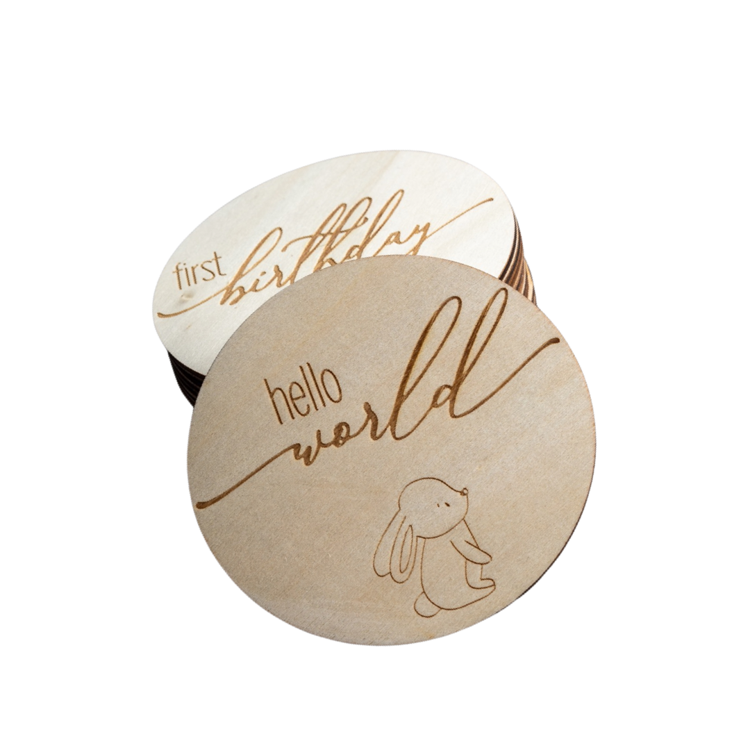 Wooden Animal Milestone Discs (14 discs)